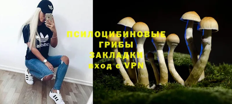 Галлюциногенные грибы Cubensis  купить   MEGA как войти  сайты даркнета какой сайт  Рыбное 